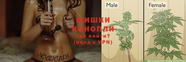 гашик Баксан