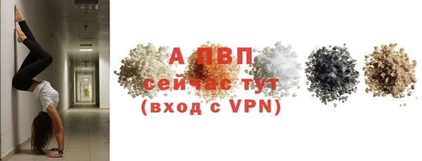 PSILOCYBIN Балабаново