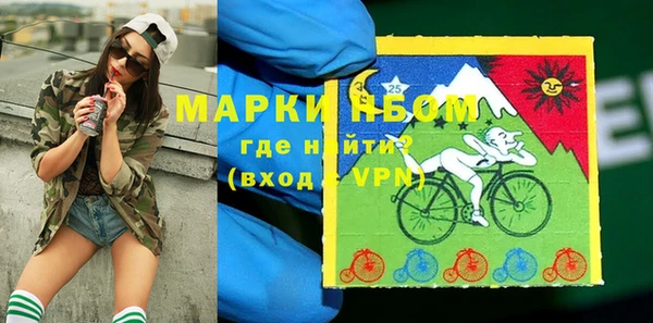 PSILOCYBIN Балабаново