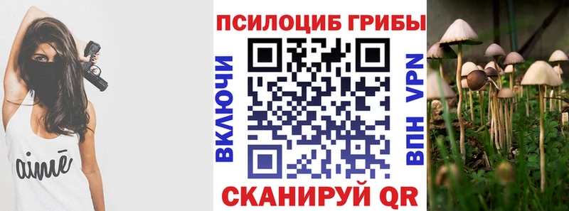 Галлюциногенные грибы GOLDEN TEACHER  Астрахань 