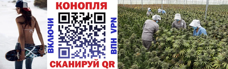 даркнет клад  Астрахань  Каннабис THC 21%  сколько стоит 
